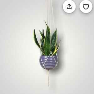 Minimalist Macrame Plant Hanger - 54”